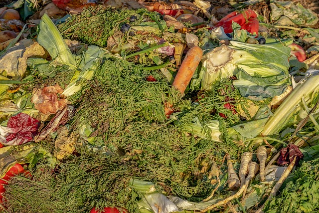 26115 - PREVENCI�N DE P�RDIDAS Y DESPERDICIO ALIMENTARIO. MANIPULADOR DE ALIMENTOS